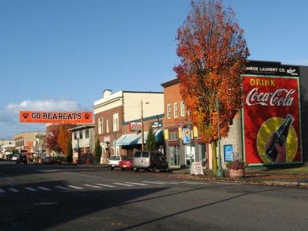 Monroe downtown fall picture